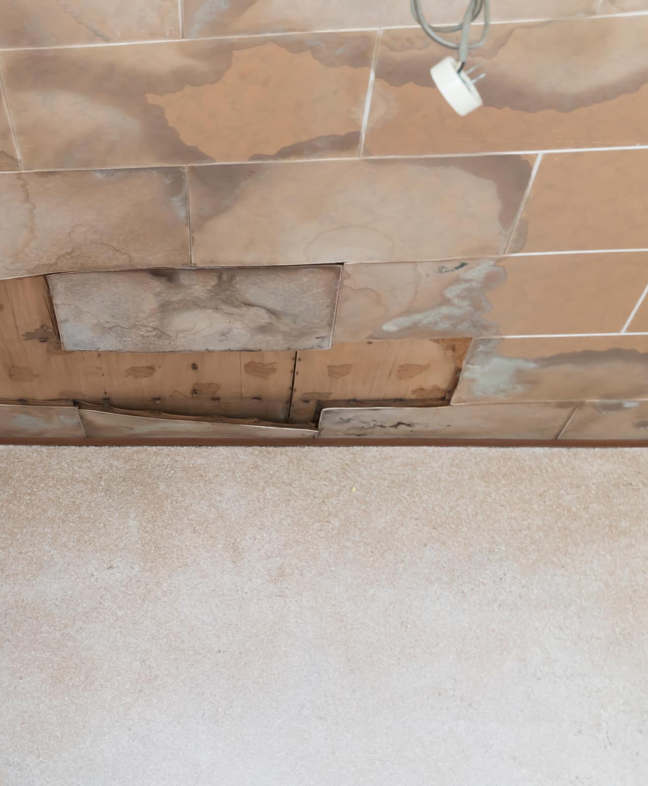 壁紙や床材の汚れ・傷み